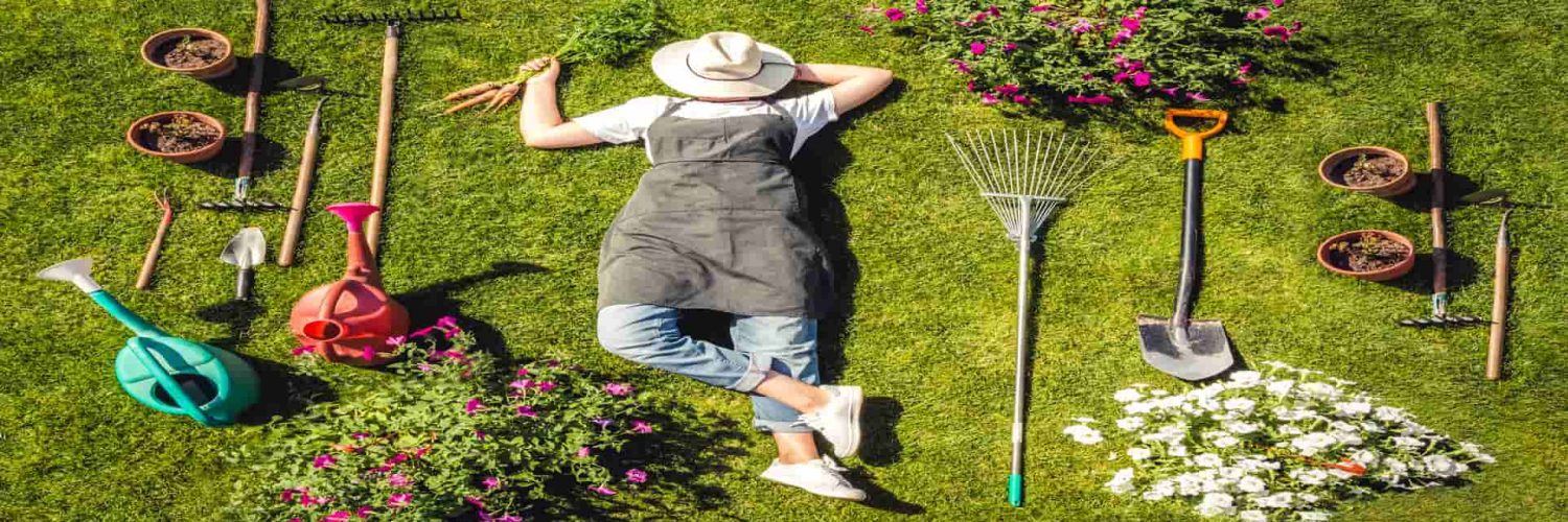 como cuidar de jardim