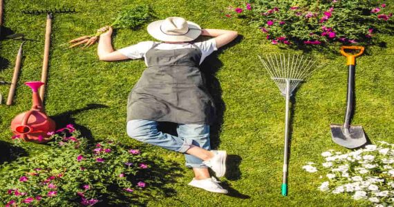 como cuidar de jardim
